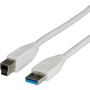 Câble USB ITB ROS3003 - USB A à USB B - 3m - Beige - USB 3.2 Gen 1 Câble USB ITB ROS3003 - USB A à USB B - 3m - Beige - USB 3.2 Gen 1
