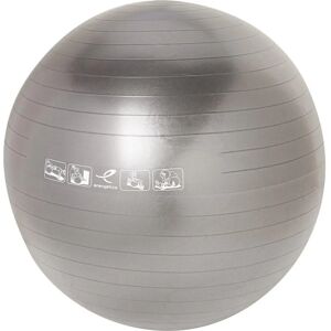 Pelota de Gimnasia Plata de Energetics - Equilibrio y Núcleo - 75cm Pelota de Gimnasia Plata de Energetics - Equilibrio y Núcleo - 75cm