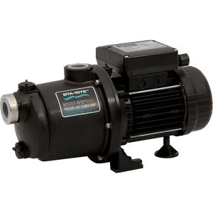 Pompe de surpression pour piscine Pentair Boost Rite Evo - Résistante à la corrosion, Compatible avec l’eau salée - Publicité Pompe de surpression pour piscine Pentair Boost Rite Evo - Résistante à la corrosion, Compatible avec l’eau salée - Publicité