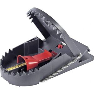 Swissinno Rattenfalle PRO SuperCat - Human Europe Design - Eenvoudig in gebruik Swissinno Rattenfalle PRO SuperCat - Human Europe Design - Eenvoudig in gebruik