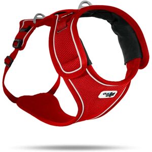 Curli Belka Hundhalsband - Justerbar, Reflekterande, Lätt Curli Belka Hundhalsband - Justerbar, Reflekterande, Lätt