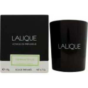 Lalique Osmanthus Himalaya Nepal Lys - Unisex - 190g - Lys Lalique Osmanthus Himalaya Nepal Lys - Unisex - 190g - Lys