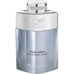 Bentley Silverlake Eau De Parfum Spray - Hommes 100ml - Publicité Bentley Silverlake Eau De Parfum Spray - Hommes 100ml - Publicité