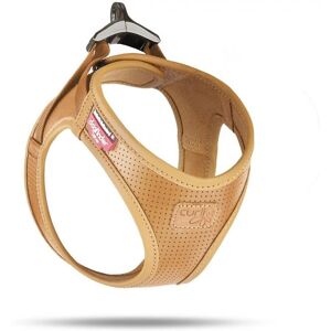 Curli Eplelær Hundegjering - 2XS - Halsbånd Curli Eplelær Hundegjering - 2XS - Halsbånd