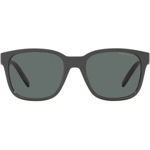 Arnette AN4320 Surry Gris - Gafas de sol Arnette AN4320 Surry Gris - Gafas de sol