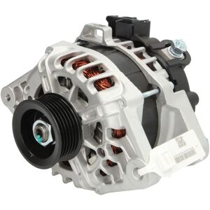 STARDAX STX100295 Alternatore - Ristrutturato STARDAX STX100295 Alternatore - Ristrutturato
