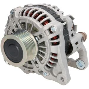 STARDAX STX100822 Alternateur - 8-Rainures, 12V, Reconditionné - Publicité STARDAX STX100822 Alternateur - 8-Rainures, 12V, Reconditionné - Publicité