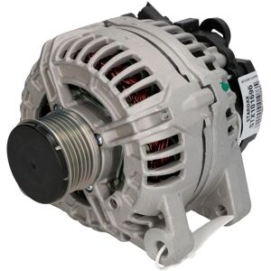 STARDAX STX101696 - Driefasige generator met 6 groeven en 145A STARDAX STX101696 - Driefasige generator met 6 groeven en 145A