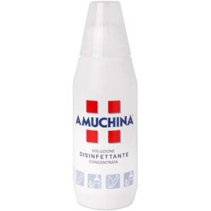 Angelini Disinfettante - Soluzione antimicrobica 500ml Angelini Disinfettante - Soluzione antimicrobica 500ml