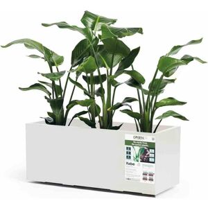 EURO3PLAST KEBE 100X40 H40 Pot de fleurs - Matériau recyclé durable - Publicité EURO3PLAST KEBE 100X40 H40 Pot de fleurs - Matériau recyclé durable - Publicité