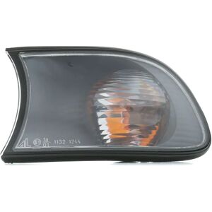 Magneti Marelli Seitenblinker 710311330005 - Seitenblinker Magneti Marelli Seitenblinker 710311330005 - Seitenblinker