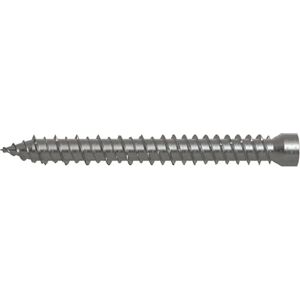 Vite Fischer in acciaio FFSZ per telai - 5x62 T15 Vite Fischer in acciaio FFSZ per telai - 5x62 T15