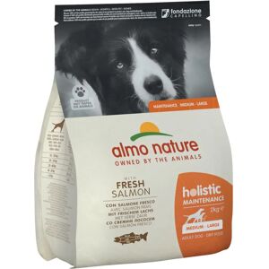 Almo Nature - Dog Holistic Mantenimento Medium/Large Salmone - Sacco da 2 kg Almo Nature - Dog Holistic Mantenimento Medium/Large Salmone - Sacco da 2 kg