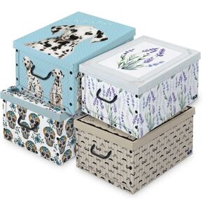 Boîte de rangement Domopak 914535 - Rectangulaire - Multicolore - Publicité Boîte de rangement Domopak 914535 - Rectangulaire - Multicolore - Publicité