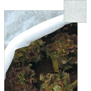 Papillon 54220 Couverture de protection des plantes - Légère, UV stabilisée - Publicité Papillon 54220 Couverture de protection des plantes - Légère, UV stabilisée - Publicité