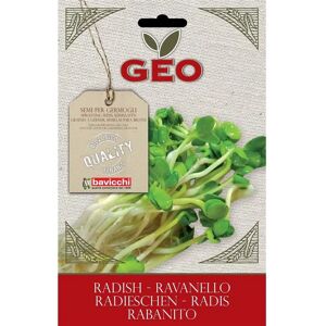 Graines de Radis Biologiques pour Germination - Graines - Publicité Graines de Radis Biologiques pour Germination - Graines - Publicité