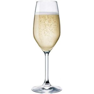 Bormioli Rocco Set aus 3 Gläsernen Flöten - 22cl Restaurantglas Bormioli Rocco Set aus 3 Gläsernen Flöten - 22cl Restaurantglas