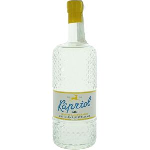 Kapriol Gin Citroen & Bergamot - Gin Kapriol Gin Citroen & Bergamot - Gin