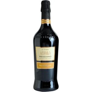 Medici Ermete Assolo Lambrusco Reggiano DOC - Dry Red Wine Medici Ermete Assolo Lambrusco Reggiano DOC - Dry Red Wine