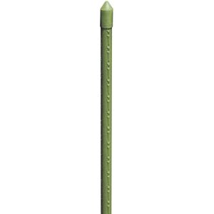 BIACCHI Supporto per piante in bambù - 8mm x 60cm - Bastoncino di supporto BIACCHI Supporto per piante in bambù - 8mm x 60cm - Bastoncino di supporto