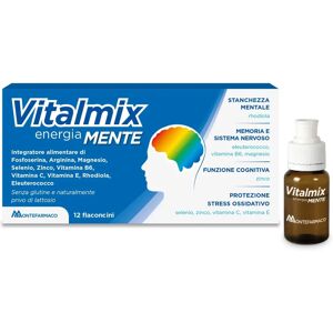 Montefarmaco Otc Spa Vitalmix Mente 12 Flaconcini - Supporto Memoria e Concentrazione Montefarmaco Otc Spa Vitalmix Mente 12 Flaconcini - Supporto Memoria e Concentrazione