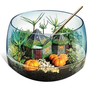 Clementoni Harry Potter Terrarium - Mini Ecosystem Kit Clementoni Harry Potter Terrarium - Mini Ecosystem Kit