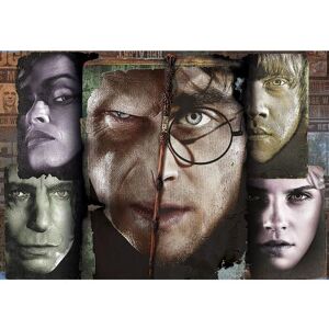 Clementoni Harry Potter Puzzle 1000 pcs - Jigsaw Puzzle Clementoni Harry Potter Puzzle 1000 pcs - Jigsaw Puzzle