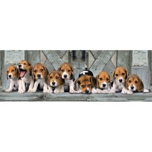 Clementoni 39869 Puzzle - Panoramic Beagle 1000 pcs Clementoni 39869 Puzzle - Panoramic Beagle 1000 pcs