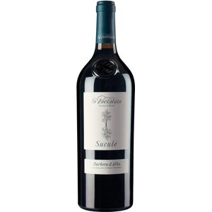 Cascina Lo Zoccolaio 2021 Organic Barbera d'Alba Superiore - Wine Cascina Lo Zoccolaio 2021 Organic Barbera d'Alba Superiore - Wine