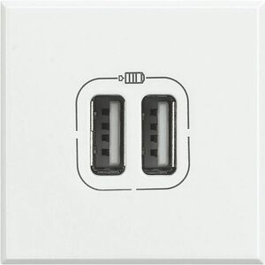 Legrand HD4285C2 Steckdose - USB-Ladegerät - 2 Module - Weiß Legrand HD4285C2 Steckdose - USB-Ladegerät - 2 Module - Weiß