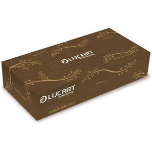 Lucart EcoNatural Facial Tissues - 100 Sheets - Pack of 40 Lucart EcoNatural Facial Tissues - 100 Sheets - Pack of 40