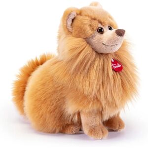 Trudi Pomerania Biscuit M - Biscuit - Publicité Trudi Pomerania Biscuit M - Biscuit - Publicité