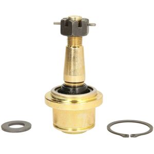 MOOG AMGK500286 - Articolazione di sospensione MOOG AMGK500286 - Articolazione di sospensione