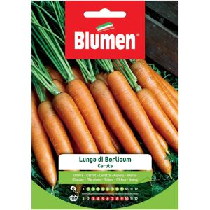 Iperbriko Semi di Carota Lunga Berlicum - Semi Iperbriko Semi di Carota Lunga Berlicum - Semi