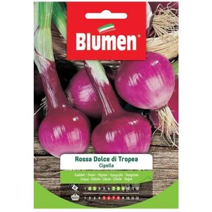 Semi di Cipolla Rossa Blumen - Precoce, Dolce Semi di Cipolla Rossa Blumen - Precoce, Dolce