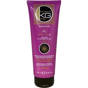 Modèle Keragold - Shampooing Anti-Frizz pour Cheveux Secs - 250ml - Publicité Modèle Keragold - Shampooing Anti-Frizz pour Cheveux Secs - 250ml - Publicité