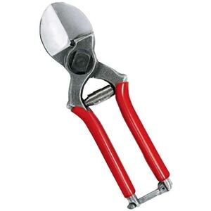 AUSONIA Tooltek Sécateur - Acier de Qualité - 19,5cm - Pour Arbres Fruitier & Jardin - Publicité AUSONIA Tooltek Sécateur - Acier de Qualité - 19,5cm - Pour Arbres Fruitier & Jardin - Publicité