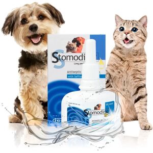 Nextmune Italy Srl Gel Orale Stomodine per Cani e Gatti - 50ml Nextmune Italy Srl Gel Orale Stomodine per Cani e Gatti - 50ml