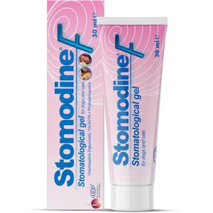 Stomodine F Goût Viande Gel Dentifrice pour Chiens & Chats - Combat la Plaque - Publicité Stomodine F Goût Viande Gel Dentifrice pour Chiens & Chats - Combat la Plaque - Publicité