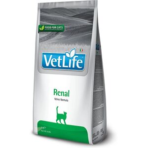 Farmina Vet Food Renal Chat 20kg - Nourriture pour chats - Publicité Farmina Vet Food Renal Chat 20kg - Nourriture pour chats - Publicité