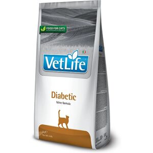 Nourriture Diabétique pour Chats Farmina Vet Life - 2kg - Publicité Nourriture Diabétique pour Chats Farmina Vet Life - 2kg - Publicité