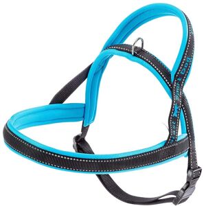 Ferplast Sport Dog P Medium Blue - Dog Harness Ferplast Sport Dog P Medium Blue - Dog Harness