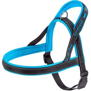 Ferplast Large Blue Sport Dog P Harness - Dog Harness Ferplast Large Blue Sport Dog P Harness - Dog Harness