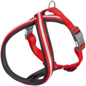 Harnais Ferplast Daytona Cross S M - Réfléchissant, Réglable, Nylon pour Chiens - Publicité Harnais Ferplast Daytona Cross S M - Réfléchissant, Réglable, Nylon pour Chiens - Publicité