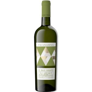 Di Majo Norante Falanghina del Molise BIO 2023 - Wine Di Majo Norante Falanghina del Molise BIO 2023 - Wine