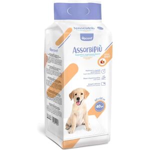 Tappetini per cani Frutta Fresca 60x60 - Assorbenti, Controllo odori Tappetini per cani Frutta Fresca 60x60 - Assorbenti, Controllo odori