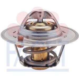 Facet Ford Nissan Volvo 78202S Thermostaat Facet Ford Nissan Volvo 78202S Thermostaat
