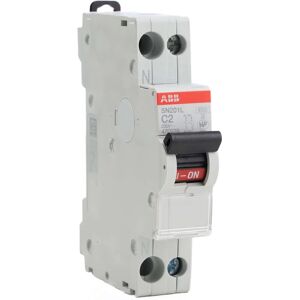 ABB SN201L-C2 2P C-Kurve 4,5kA Leitungsschutzschalter ABB SN201L-C2 2P C-Kurve 4,5kA Leitungsschutzschalter