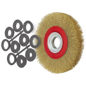 FERVI - SRF175/25 - Ø175 x 32 mm - Bohrung 25 mm - Rundbürste FERVI - SRF175/25 - Ø175 x 32 mm - Bohrung 25 mm - Rundbürste