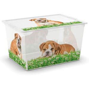 KIS - 8013183085889 - Cucciolo e gattino - XL - Storage Box KIS - 8013183085889 - Cucciolo e gattino - XL - Storage Box